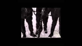 Cover art for Display Of Hate