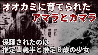 カマラ と アマラ Watch Hd Mp4 Videos Download Free カマラ と アマラ Watch Hd Mp4 Videos Download Free