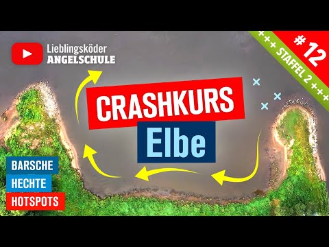BARSCH + HECHT angeln in der Elbe 🎣  (Crashkurs für Einsteiger)