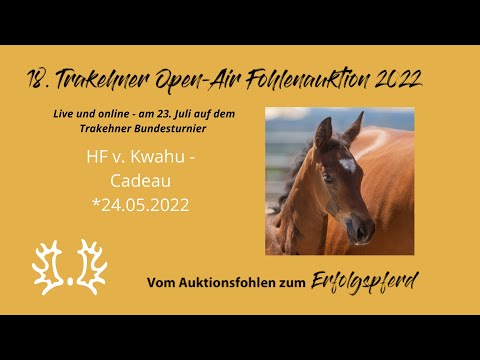 Kat.-Nr.10 HF v. Kwahu - Cadeau *24.05.2022