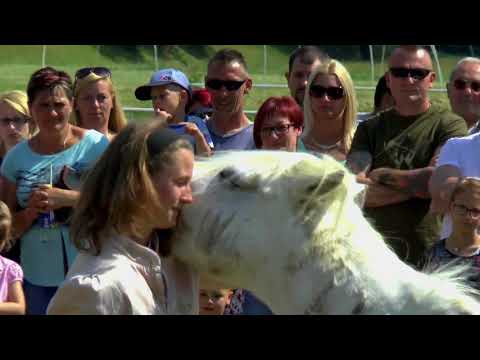 HamzaViktoria Radihaza 20180520