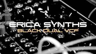 Video thumbnail for Erica Synths -Black DUAL VCF demo sound by Dziam Bass