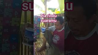 Download lagu Dia rindu suaramu #motivasiislam #doaorangsukses #doamaqbul #motivasihidup #hidupsukses #katabijak mp3