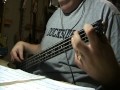 Gloria Gaynor I will survive Bass Cover 