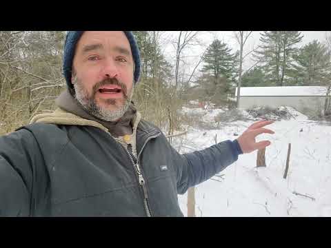 Clearing 'Invasives'... but with a purpose!