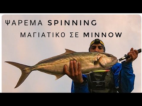 Ψάρεμα Spinning- Μαγιάτικο σε Duo tide minnow slim 140 flyer-Amberjack on minnow...