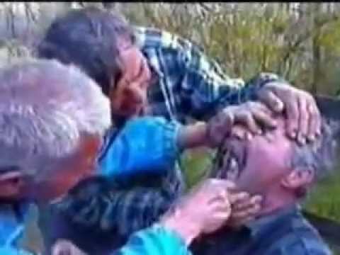 Dentysta 