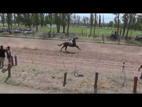 MOGAMBO Club Hípico Cipriano Catriel Domingo 19 de Octubre de 2025