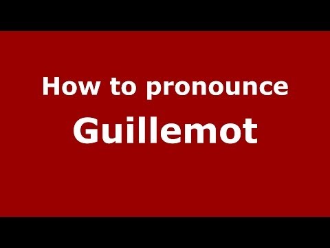 How to pronounce Guillemot
