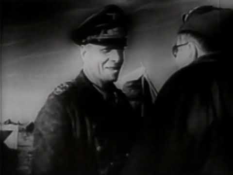 Warbirds of WW2 DOCUMENTARY