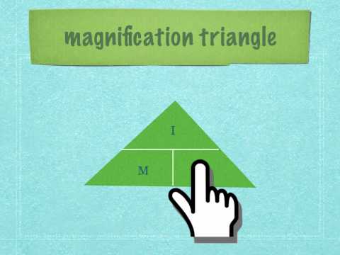 IGCSE. 2.3 Calculating magnification of drawings