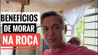 FIZEMOS UM NOVO TIPO DE QUEIJO NO SÍTIO. Compramos novas aves, inseminamos nossa vaca.