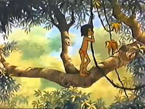Kaa Told Mowgli A Lie