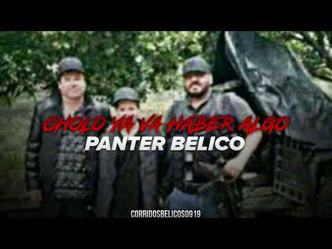 Cholo Ya Va Haber Algo - Panter Belico (Corridos 2024) | Estudio
