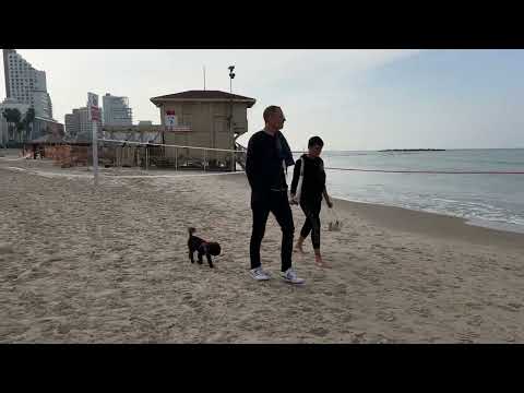 Beach Walk - Badalona Beach - Barcelona Spain - 2023