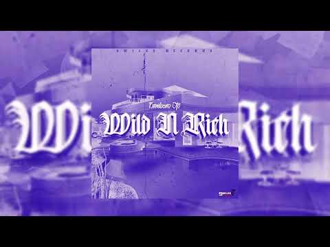 Bambeno OTO - Wild N Rich (Official Audio Visualizer)