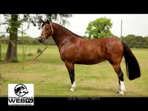 Remate Redomão na Lagoa 2014 ofertas, sorteios, um show à parte pra você!