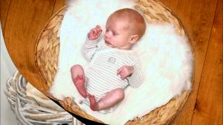 GG Anderson- Husch, Husch ins Körbchen