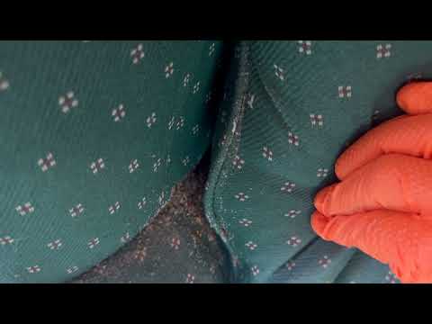 Every Corner of the Chair is Loaded with Bed Bugs in Colts Neck, NJ