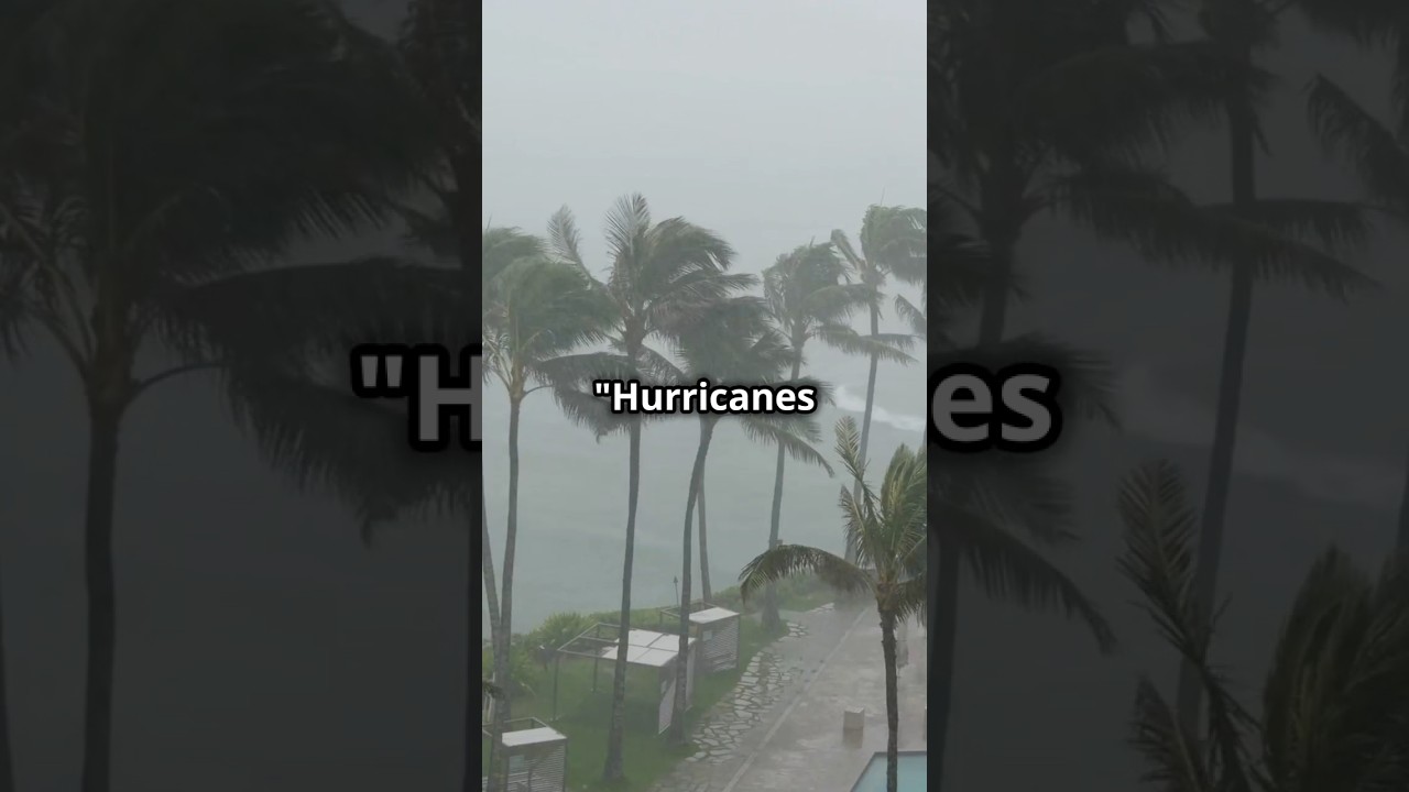 Top 5 Hurricane Preparedness Tips 🌪️ | Is Your Home Ready?
