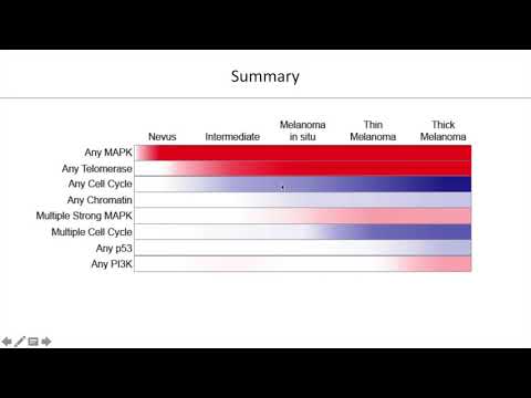 Intregrative genomic and transcriptomic analysis of melanomas and their precursor lesions