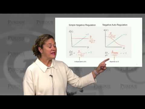nanoHUB-U Biodesign L3.4: Gene Circuits - Network Motif Negative Autoregulation