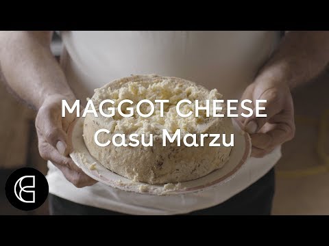 Casu Marzu - The Illegal Cheese That’s Crawling With Maggots