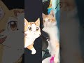 Tama From S Rank Behemoth Anime Cat Cute Anime