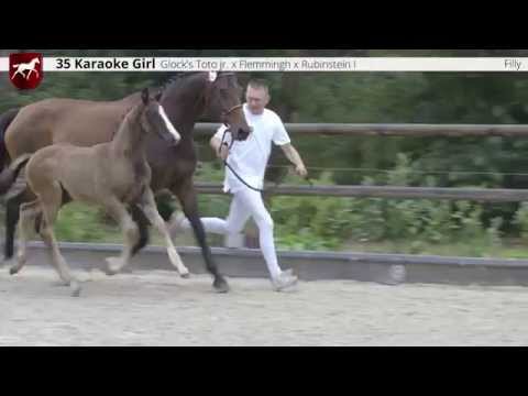 35 Karaoke Girl (Toto jr. x Flemmingh), filly / merrieveulen