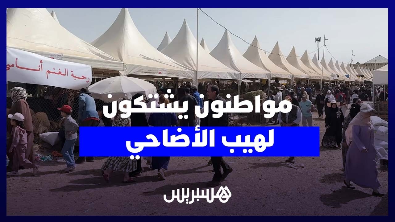 غلاء الأغنام يربك الأسر.. مواطنون برحبة أناسي: “الدرويش موحال يعيد” thumbnail