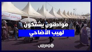 غلاء الأغنام يربك الأسر.. مواطنون برحبة أناسي: “الدرويش موحال يعيد” thumbnail