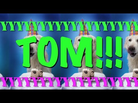 HAPPY BIRTHDAY TOM! - EPIC Happy Birthday Song