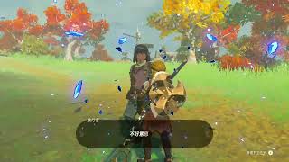 [心得] 王淚，反埋伏依蓋隊教學