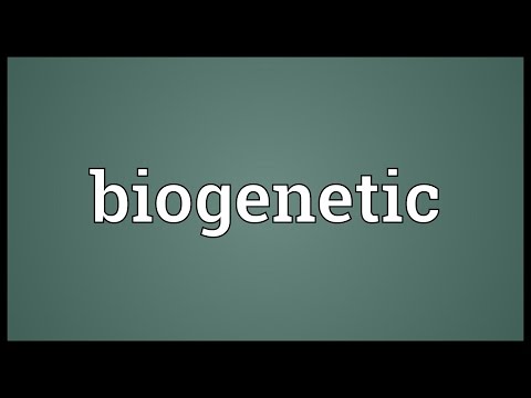 Biogenetic Meaning