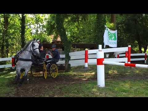 Fahrturnier Ostenfelde 21.8.2022