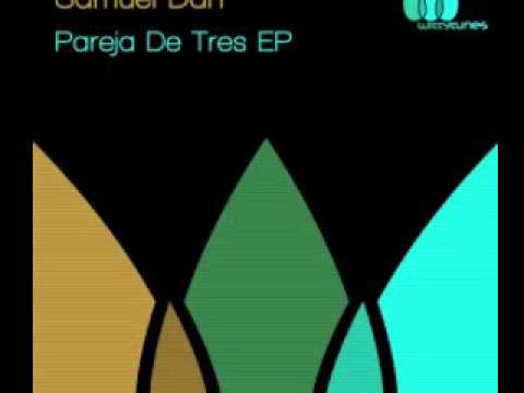 Samuel Dan -What_Can_U_Do_Original_Mix