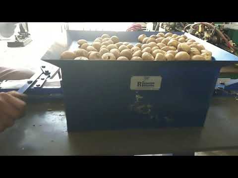 Supari Cutting Machine