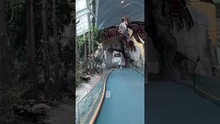 Vancouver Airport #vancouver #travel #yvrairport #canada #cruising #okaytravel #cruiser #timhortons