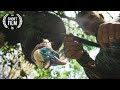 Jay S Story 30 Years Of Turkey Hunting SHORT FILM Amazing VINTAGE FOOTAGE