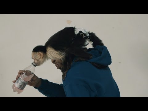 Tone800 x BigC800 x D.Ruffin800 x Kash800 - Meg Thee Stallion (Remix) | Directed By @Qncy_