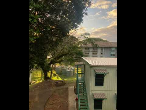 6PA Halls Concert 2025 (sound)