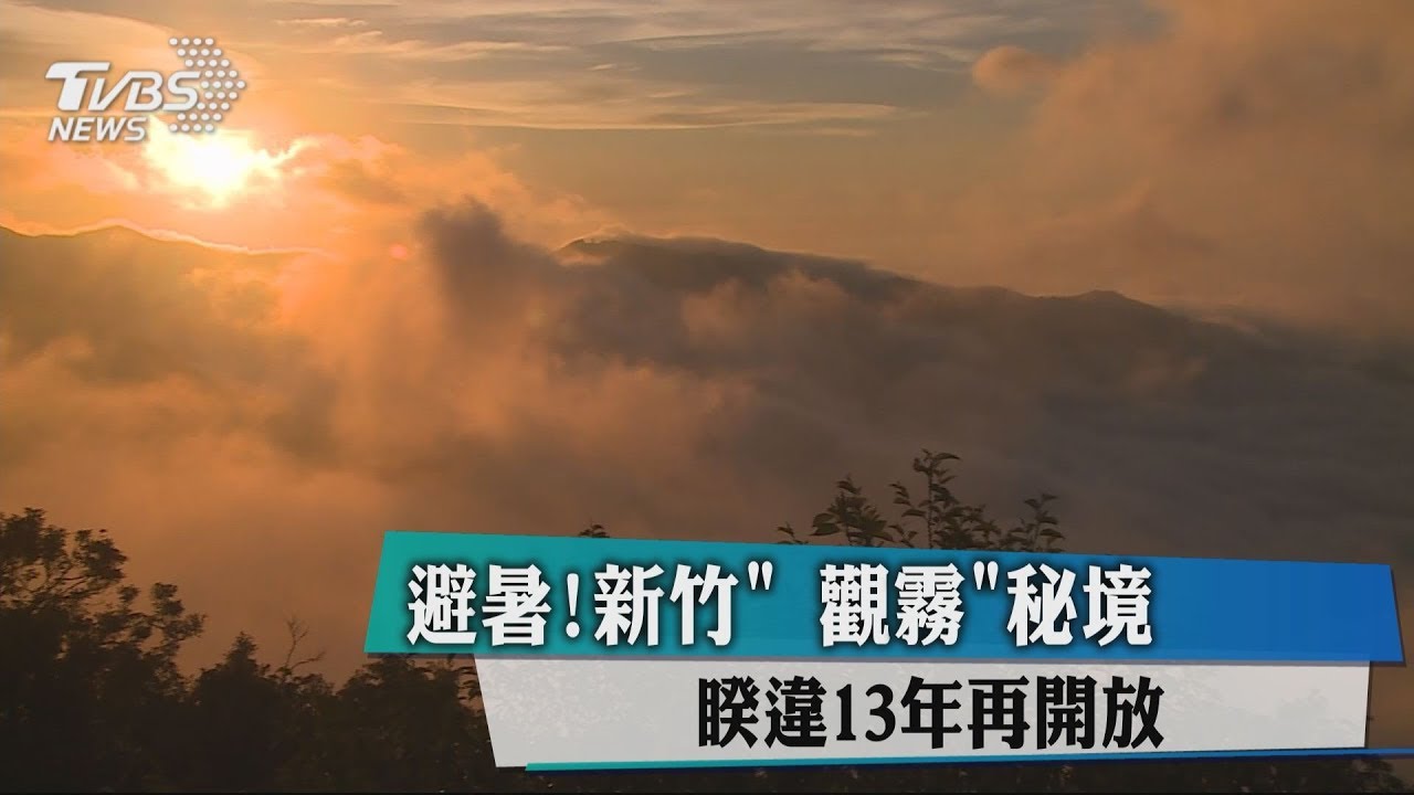 避暑！新竹觀霧秘境　睽違13年再開放