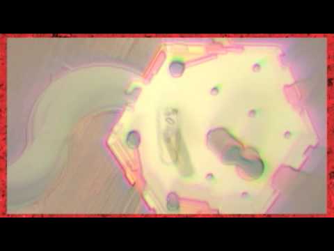 Jack Acid Acid Tube Dead Kore Djungle Fever