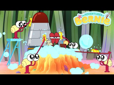 THE BERNIE SHOW 👑 A KING'S LIFE FOR BERNIE | Zig & Sharko - Cartoons for Children