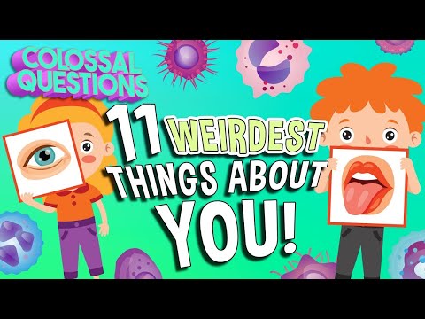 Why Does Your Body Do These 11 WEIRD Things? | COLOSSAL QUESTIONS