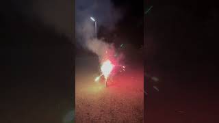 フレブルと一緒に花火☺️ #vlog #フレンチブルドッグ #frenchie #花火 #shorts 　　　　       "Fireworks with the French Bulldog"