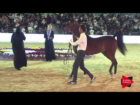 N.269 FAWAZ AL NASSER - Asharqia Classic 2018