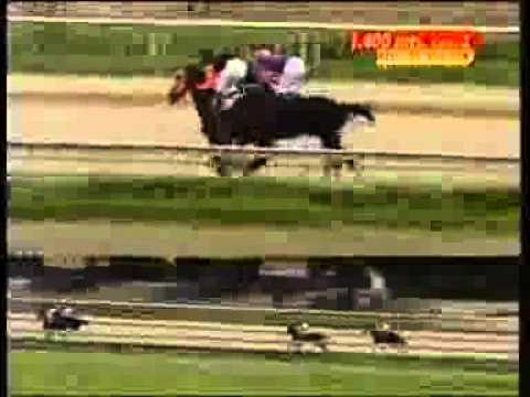 2da Carrera Valencia Viernes 11 de Julio Imperial Pride