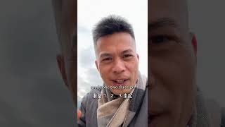 Download lagu Zhejiang | Rapeseed Flowers Blooming【Jason徐朱成】#shorts #chinatravel mp3 Download lagu Zhejiang | Rapeseed Flowers Blooming【Jason徐朱成】#shorts #chinatravel mp3