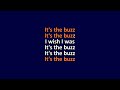 Lisa Germano - From a Shell - Karaoke Instrumental Lyrics - ObsKure